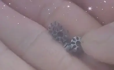 Conception d'emboutissage innovante et pratiques de fabrication de micromoteurs pour équipements médicaux de drones